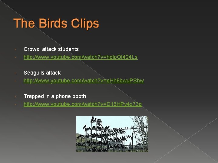 The Birds Clips Crows attack students http: //www. youtube. com/watch? v=hplp. Qt 424 Ls