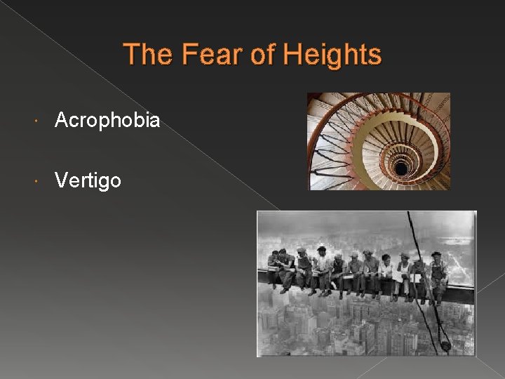 The Fear of Heights Acrophobia Vertigo 