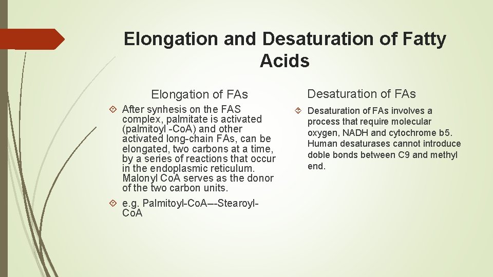 Elongation and Desaturation of Fatty Acids Elongation of FAs After synhesis on the FAS