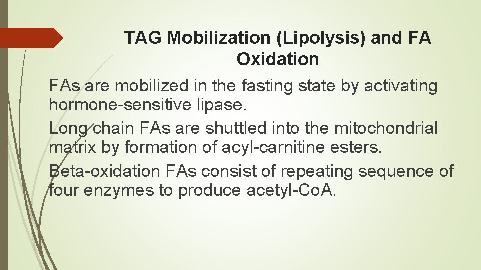 TAG Mobilization (Lipolysis) and FA Oxidation FAs are mobilized in the fasting state by