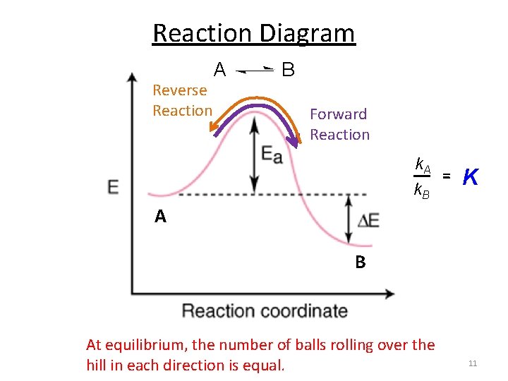 Reaction Diagram Reverse Reaction A B Forward Reaction k. A k. B = K