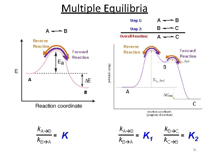 Multiple Equilibria Step 1: A Step 2: B Reverse Reaction Overall Reaction: Forward Reaction Multiple Equilibria Step 1: A Step 2: B Reverse Reaction Overall Reaction: Forward Reaction