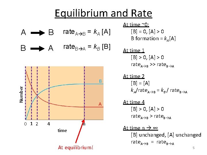 Equilibrium and Rate A B rate. A B = k. A [A] B A