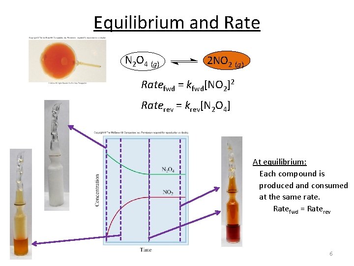 Equilibrium and Rate N 2 O 4 (g) 2 NO 2 (g) Ratefwd = Equilibrium and Rate N 2 O 4 (g) 2 NO 2 (g) Ratefwd =