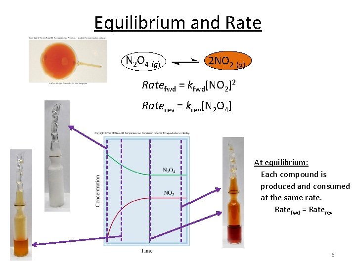 Equilibrium and Rate N 2 O 4 (g) 2 NO 2 (g) Ratefwd =