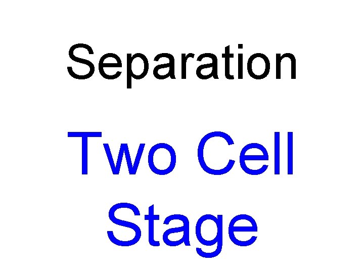 Separation Two Cell Stage 