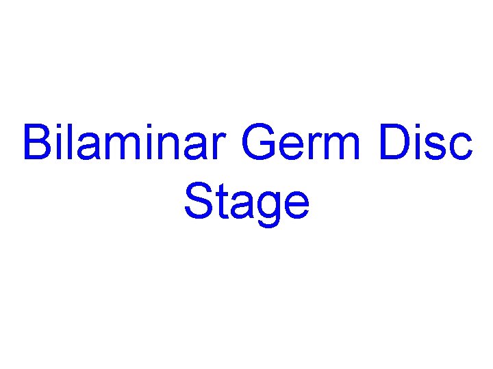 Bilaminar Germ Disc Stage 