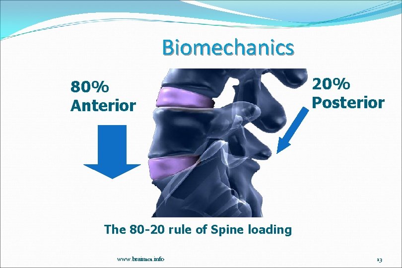 Biomechanics 80% Anterior 20% Posterior The 80 -20 rule of Spine loading www. brain
