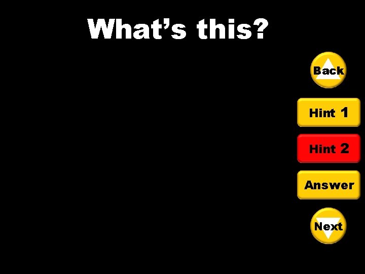 What’s this? Back Hint 1 Hint 2 Answer Next 