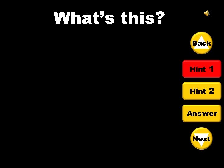 What’s this? Back Hint 1 Hint 2 Answer Next 
