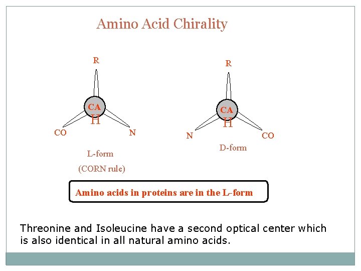 Amino Acid Chirality R R CA CA H CO N L-form H N CO
