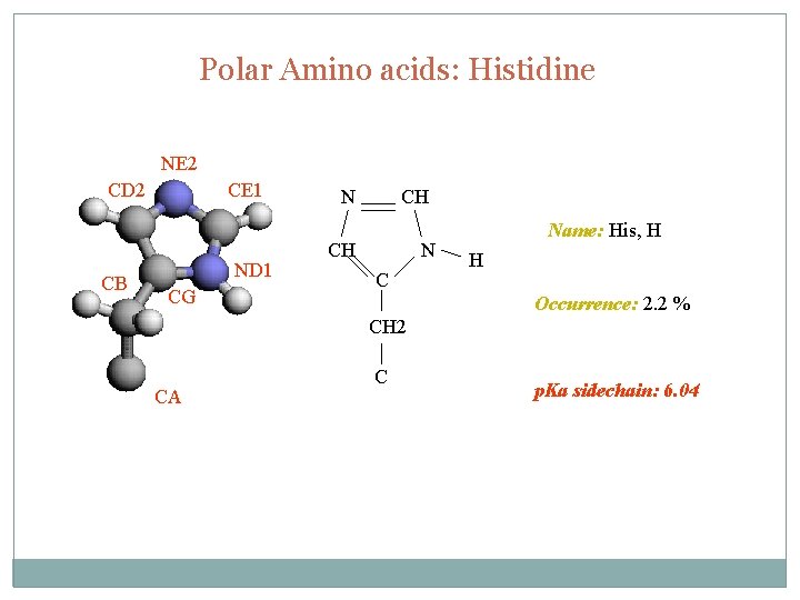 Polar Amino acids: Histidine NE 2 CD 2 CB CE 1 ND 1 CG