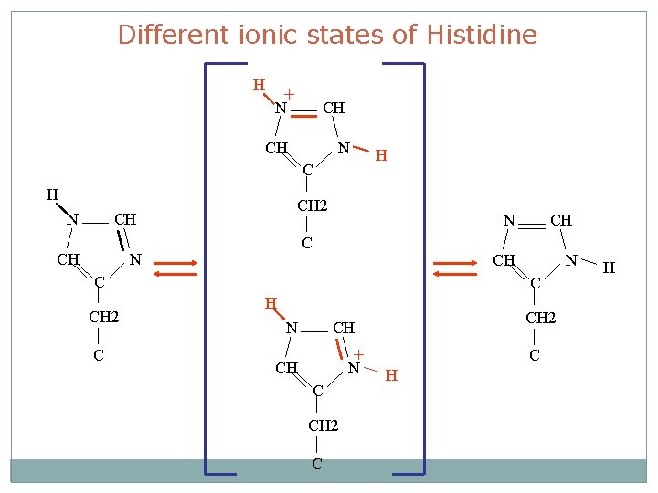 Different ionic states of Histidine H + N CH CH N H C H