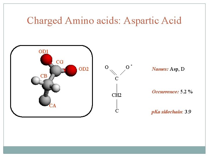 Charged Amino acids: Aspartic Acid OD 1 CG OD 2 CB O- O Names: