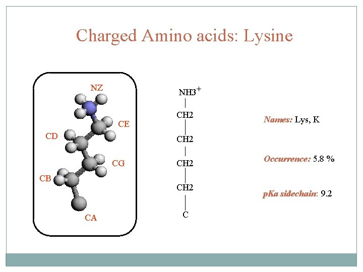 Charged Amino acids: Lysine NZ NH 3+ CE CD CH 2 Names: Lys, K