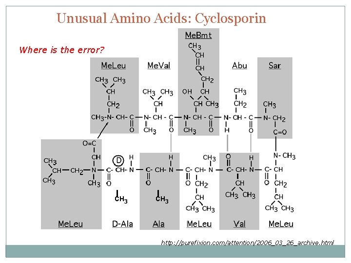 Unusual Amino Acids: Cyclosporin Where is the error? CH 3 http: //purefixion. com/attention/2006_03_26_archive. html