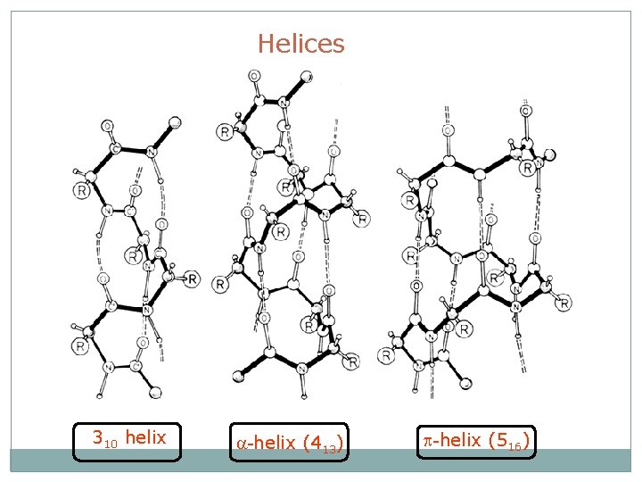 Helices 310 helix a-helix (413) p-helix (516) 
