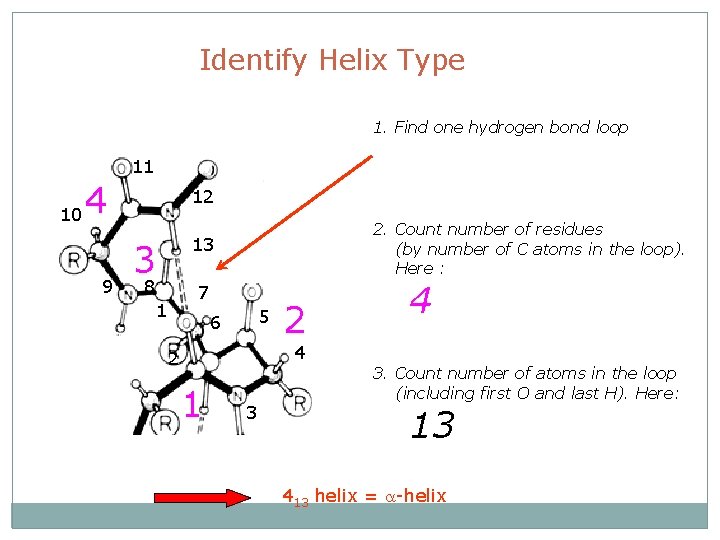 Identify Helix Type 1. Find one hydrogen bond loop 11 10 4 9 12