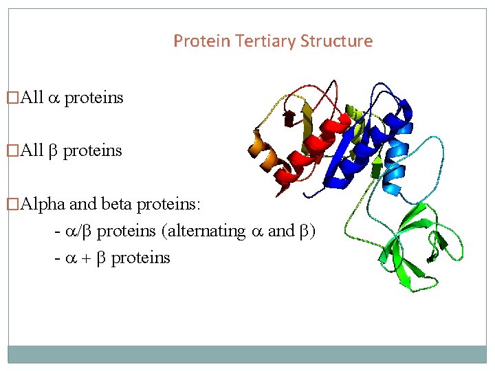 Protein Tertiary Structure �All a proteins �All b proteins �Alpha and beta proteins: -