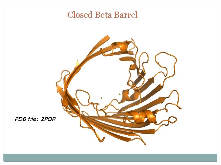 Closed Beta Barrel PDB file: 2 POR 