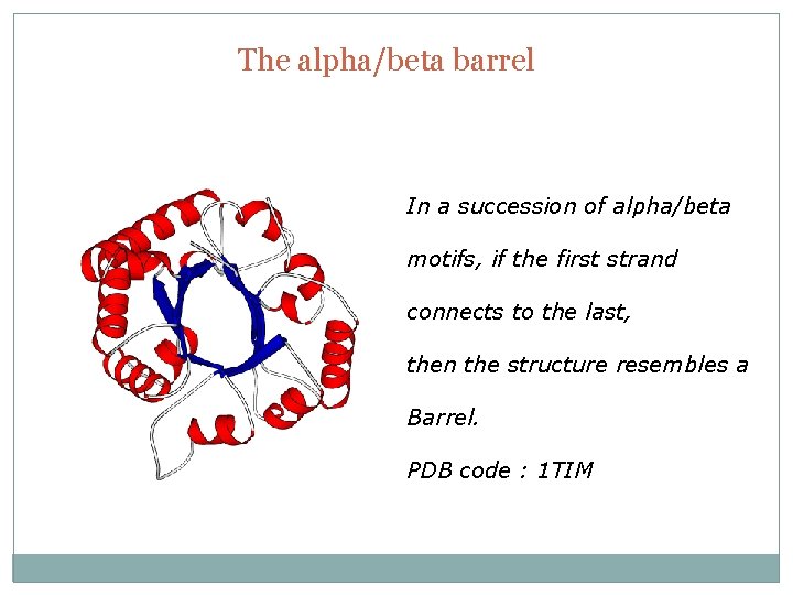The alpha/beta barrel In a succession of alpha/beta motifs, if the first strand connects