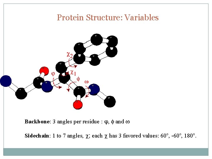 Protein Structure: Variables Backbone: 3 angles per residue : j, f and w Sidechain: