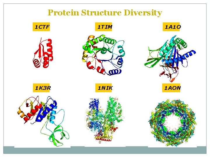 Protein Structure Diversity 1 CTF 1 TIM 1 A 1 O 1 K 3