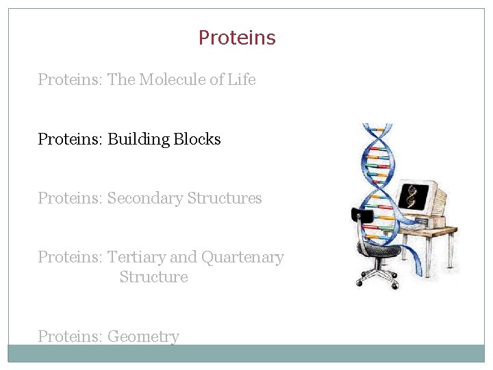 Proteins: The Molecule of Life Proteins: Building Blocks Proteins: Secondary Structures Proteins: Tertiary and