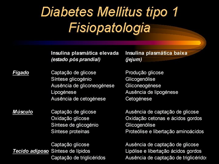 Diabetes Mellitus tipo 1 Fisiopatologia 