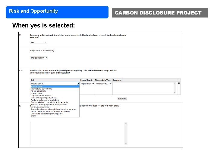 Risk and Opportunity When yes is selected: 