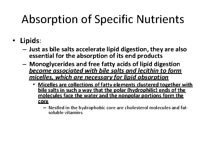 Absorption of Specific Nutrients • Lipids: – Just as bile salts accelerate lipid digestion,