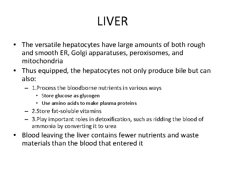 LIVER • The versatile hepatocytes have large amounts of both rough and smooth ER,