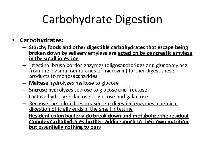 Carbohydrate Digestion • Carbohydrates: – Starchy foods and other digestible carbohydrates that escape being