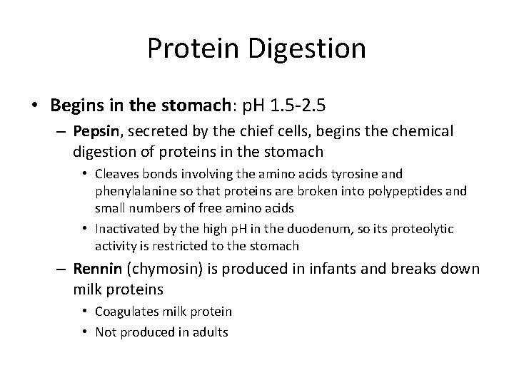 Protein Digestion • Begins in the stomach: p. H 1. 5 -2. 5 –