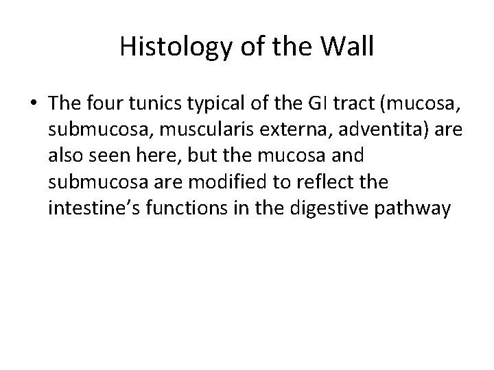 Histology of the Wall • The four tunics typical of the GI tract (mucosa,