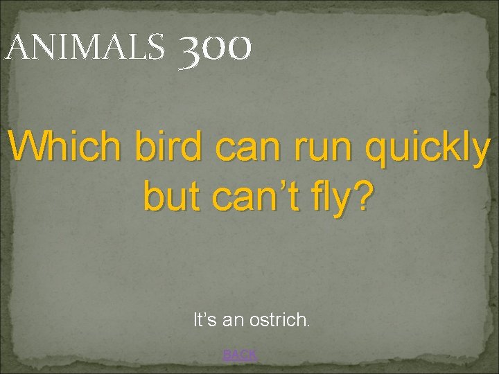 ANIMALS 300 Which bird can run quickly but can’t fly? It’s an ostrich. BACK