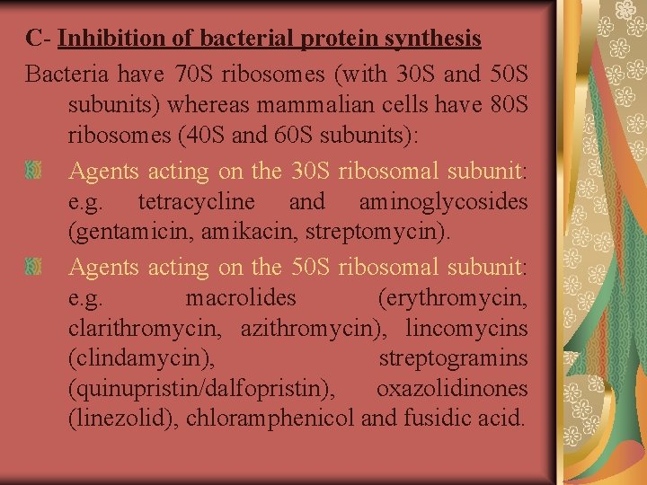 C- Inhibition of bacterial protein synthesis Bacteria have 70 S ribosomes (with 30 S
