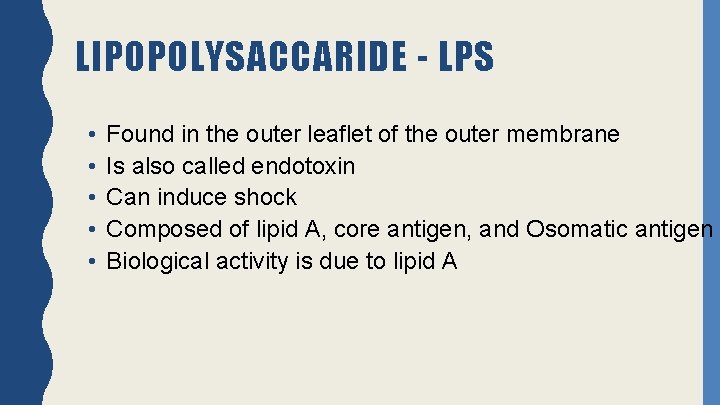 LIPOPOLYSACCARIDE - LPS • • • Found in the outer leaflet of the outer