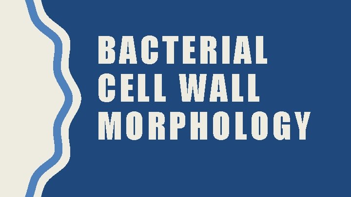 BACTERIAL CELL WALL MORPHOLOGY 