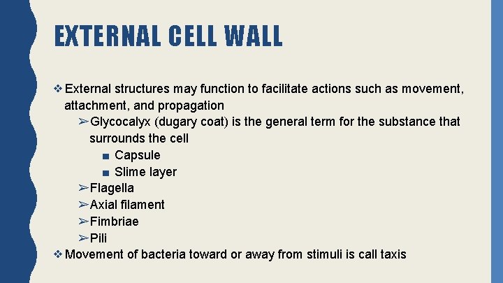 EXTERNAL CELL WALL ❖External structures may function to facilitate actions such as movement, attachment,