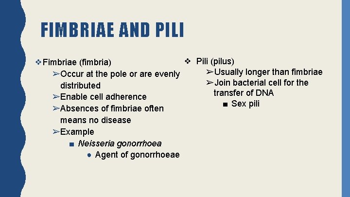 FIMBRIAE AND PILI ❖ Pili (pilus) ❖Fimbriae (fimbria) ➢Usually longer than fimbriae ➢Occur at
