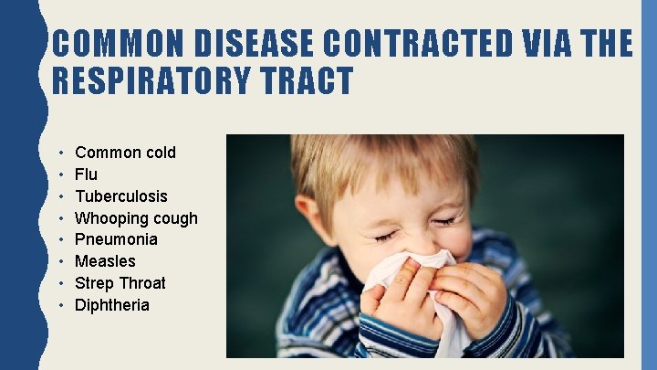 COMMON DISEASE CONTRACTED VIA THE RESPIRATORY TRACT • • Common cold Flu Tuberculosis Whooping