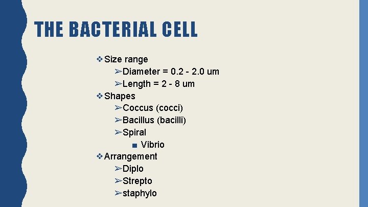 THE BACTERIAL CELL ❖Size range ➢Diameter = 0. 2 - 2. 0 um ➢Length