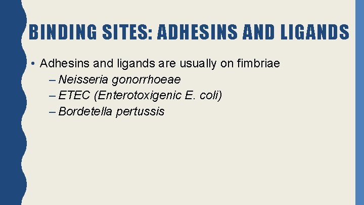 BINDING SITES: ADHESINS AND LIGANDS • Adhesins and ligands are usually on fimbriae –