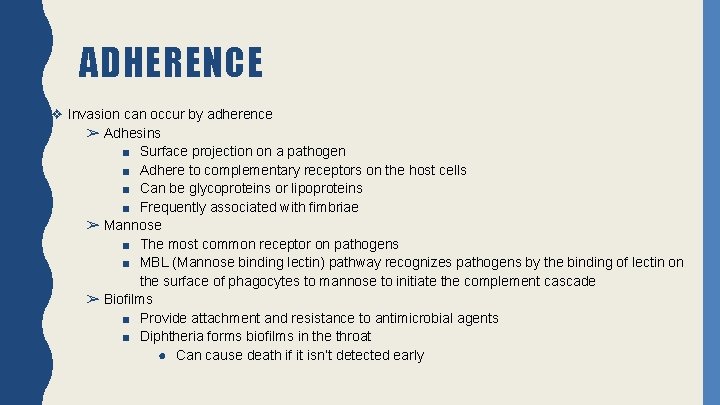 ADHERENCE ❖ Invasion can occur by adherence ➢ Adhesins ■ Surface projection on a