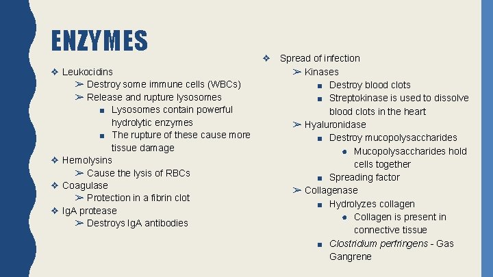 ENZYMES ❖ Leukocidins ➢ Destroy some immune cells (WBCs) ➢ Release and rupture lysosomes