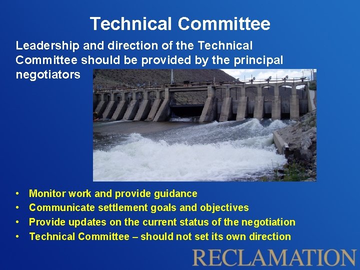 Technical Committee Leadership and direction of the Technical Committee should be provided by the