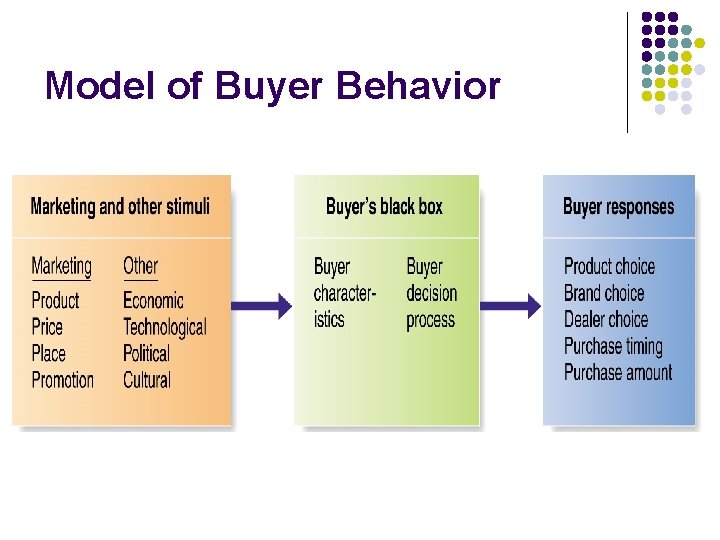 Model of Buyer Behavior 