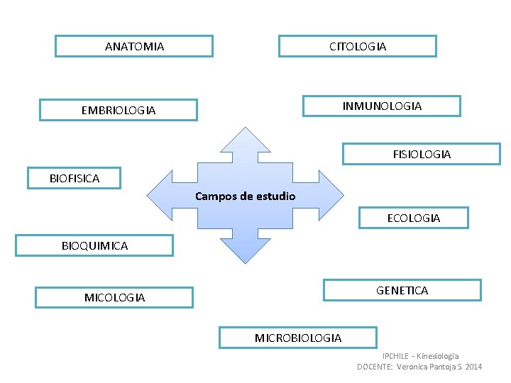 ANATOMIA CITOLOGIA INMUNOLOGIA EMBRIOLOGIA FISIOLOGIA BIOFISICA Campos de estudio ECOLOGIA BIOQUIMICA GENETICA MICOLOGIA MICROBIOLOGIA