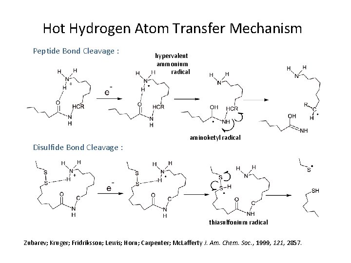 Hot Hydrogen Atom Transfer Mechanism Peptide Bond Cleavage : hypervalent ammonium radical aminoketyl radical